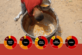 Interactive_Gaza_food_IPC_report_May13_2025-outside image
